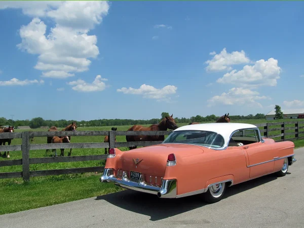1955 Cadillac Coupe DeVille - Image 40