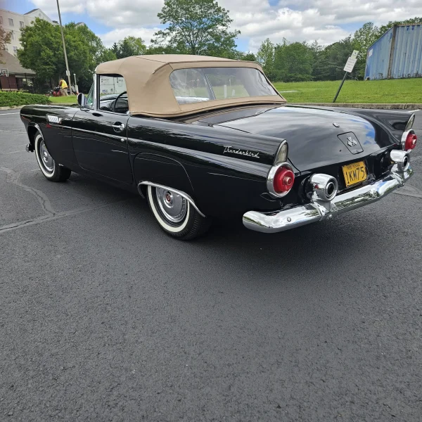 1955 Ford Thunderbird Convertible