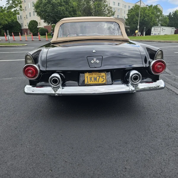 1955 Ford Thunderbird Convertible With Recent Service - Image 5