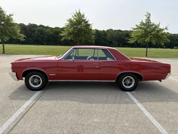 1964 Pontiac GTO Hardtop Coupe - restored award winner - Image 4