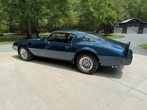1979 Pontiac Firebird Trans Am 2-Door Coupe - Image 15