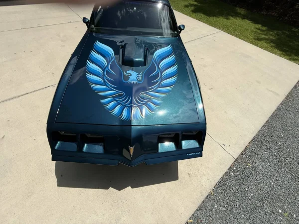 1979 Pontiac Firebird Trans Am 2-Door Coupe - Image 3