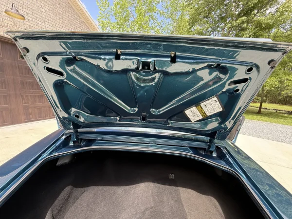 1979 Pontiac Firebird Trans Am 2-Door Coupe - Image 18