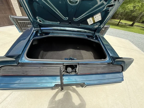 1979 Pontiac Firebird Trans Am 2-Door Coupe - Image 19