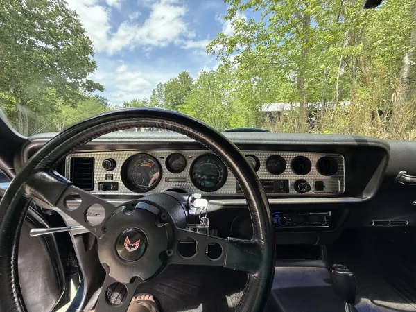 1979 Pontiac Firebird Trans Am 2-Door Coupe - Image 20