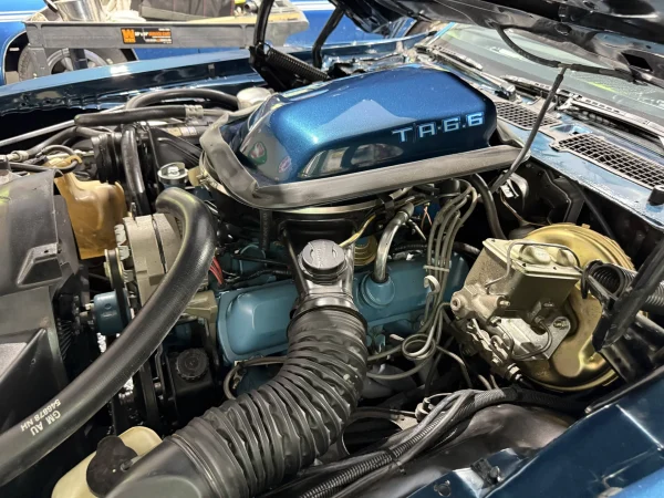 1979 Pontiac Firebird Trans Am 2-Door Coupe - Image 21