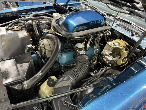 1979 Pontiac Firebird Trans Am 2-Door Coupe - Image 24