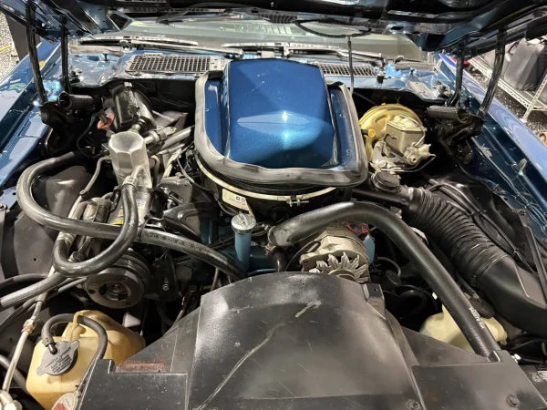 1979 Pontiac Firebird Trans Am 2-Door Coupe - Image 26