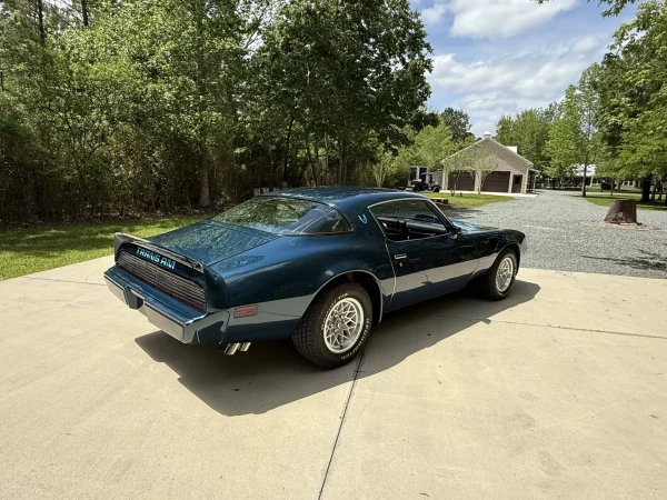1979 Pontiac Firebird Trans Am 2-Door Coupe - Image 5