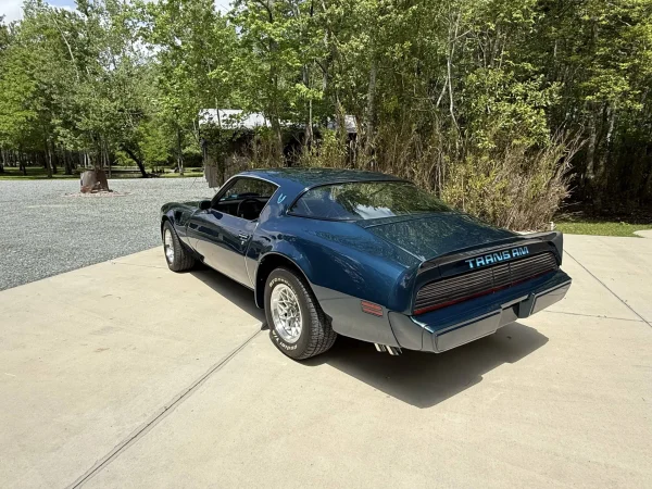 1979 Pontiac Firebird Trans Am 2-Door Coupe - Image 8